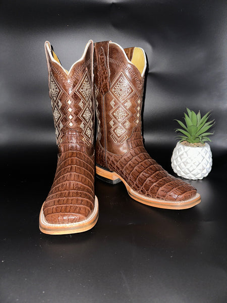 Roman Valley Brown Caiman Clon 2