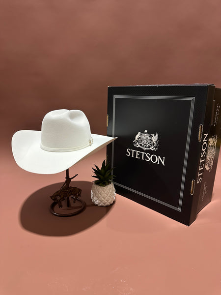 Stetson Shasta White 10X Black Felt Hat