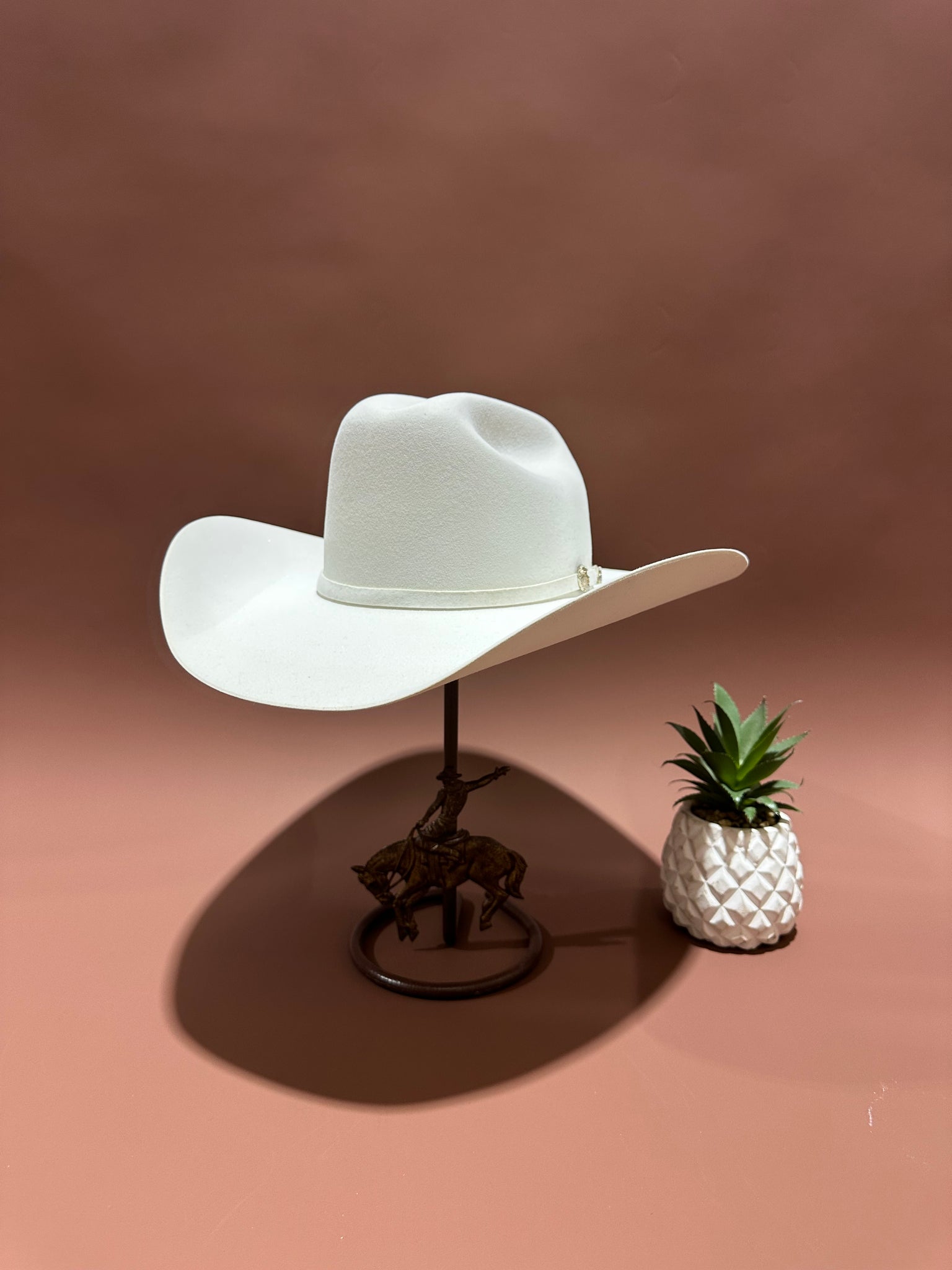 Stetson Shasta White 10X Black Felt Hat