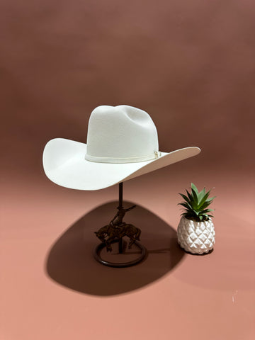 Stetson Shasta White 10X Black Felt Hat
