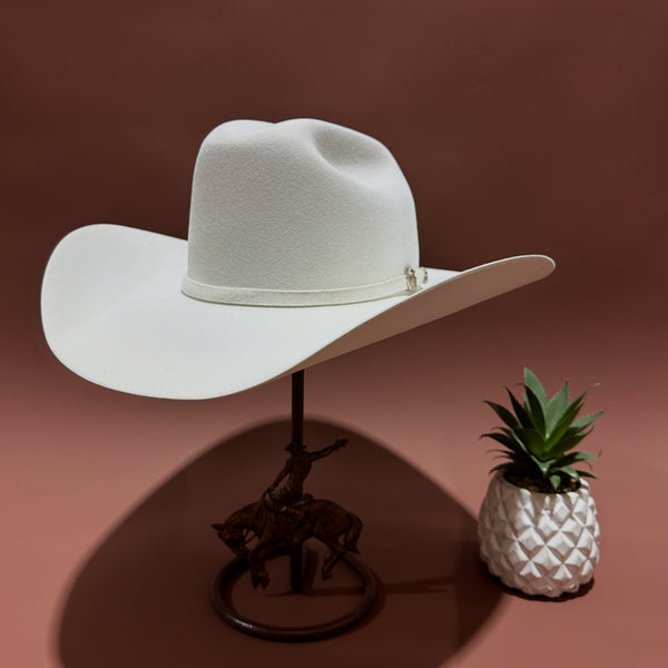 Stetson Shasta White 10X Black Felt Hat
