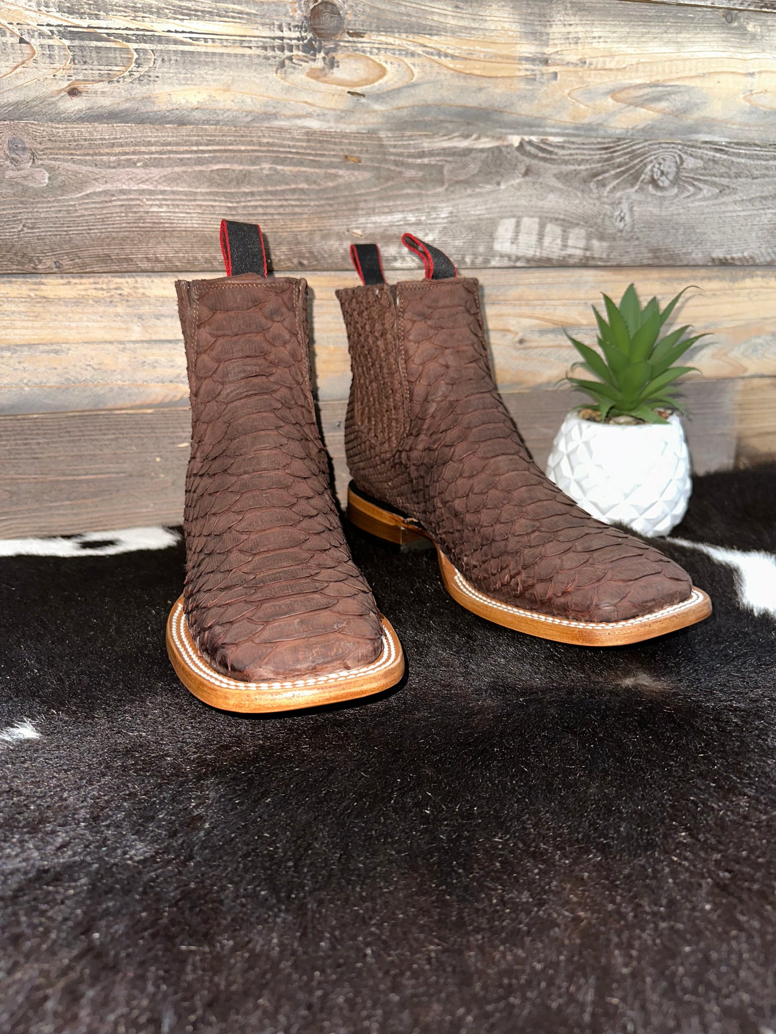 Exotic Python Cafe Chelsea Boot