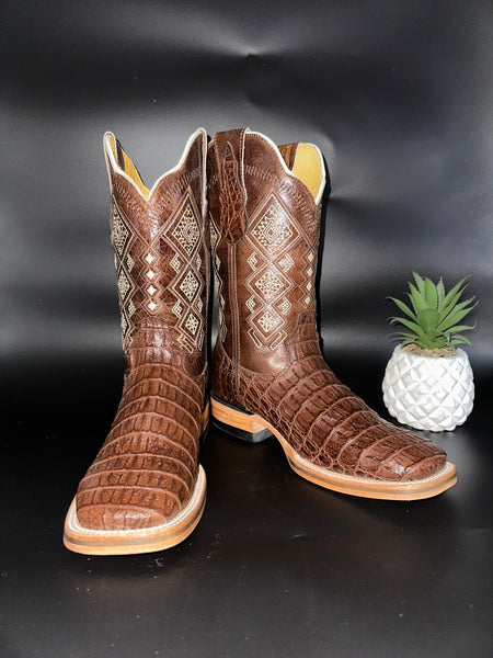 Roman Valley Brown Caiman Clon 2