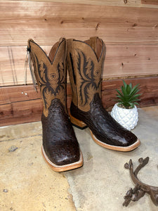 Ariat Expresso Full Ostrich Western Boot