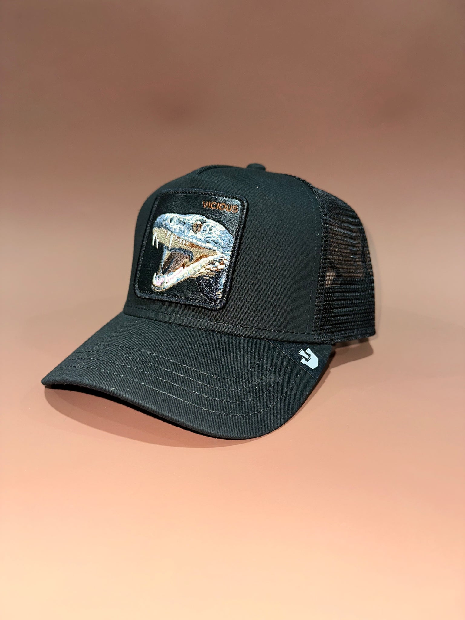 Vicious Black Goorin Cap