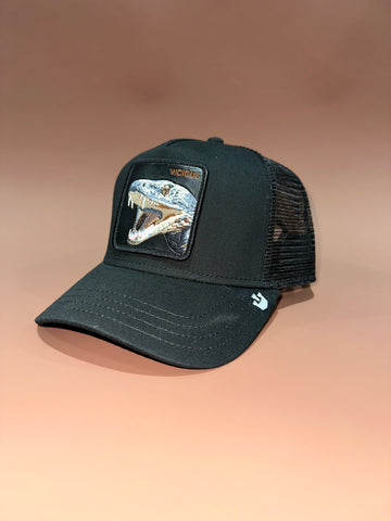 Vicious Black Goorin Cap