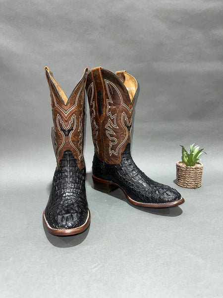 Roman Valley Black Caiman