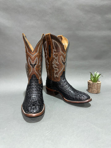 Roman Valley Black Caiman