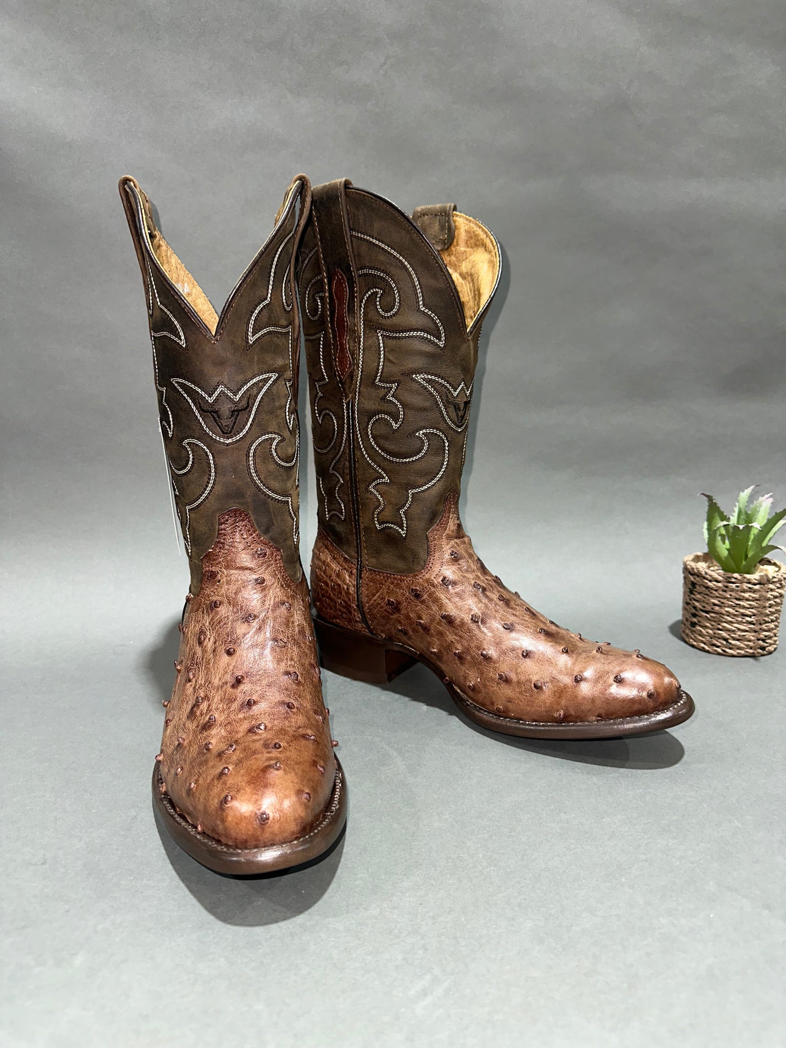 Roman Valley Brown Ostrich