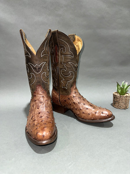 Roman Valley Brown Ostrich