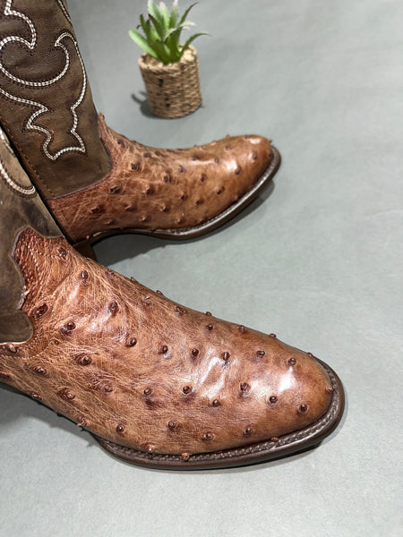 Roman Valley Brown Ostrich