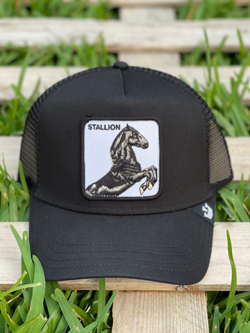 Goorin Cap Stallion