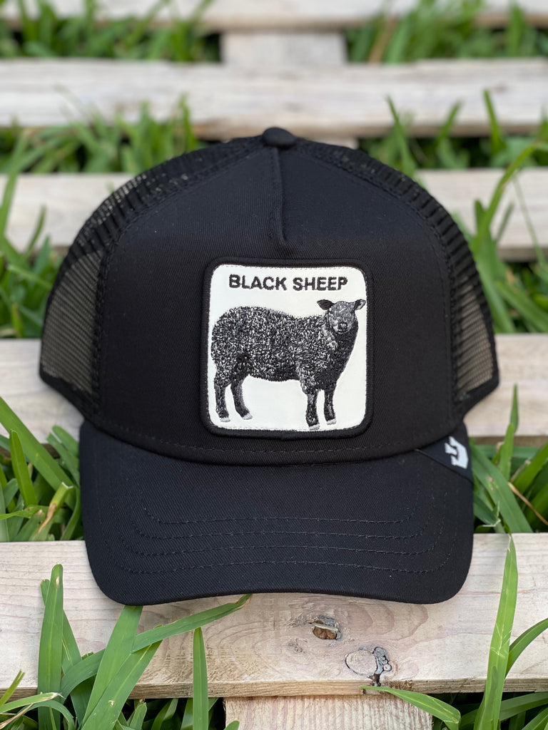 Black sheep top goorin bros