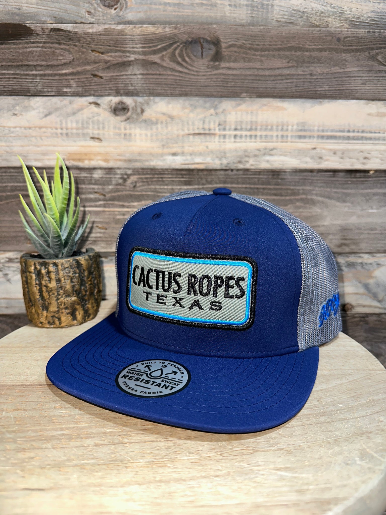 Cactus ropes hoodie hot sale